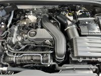 CUPRA Terramar 1.5 eTSI DSG PANO AHK KAM 19