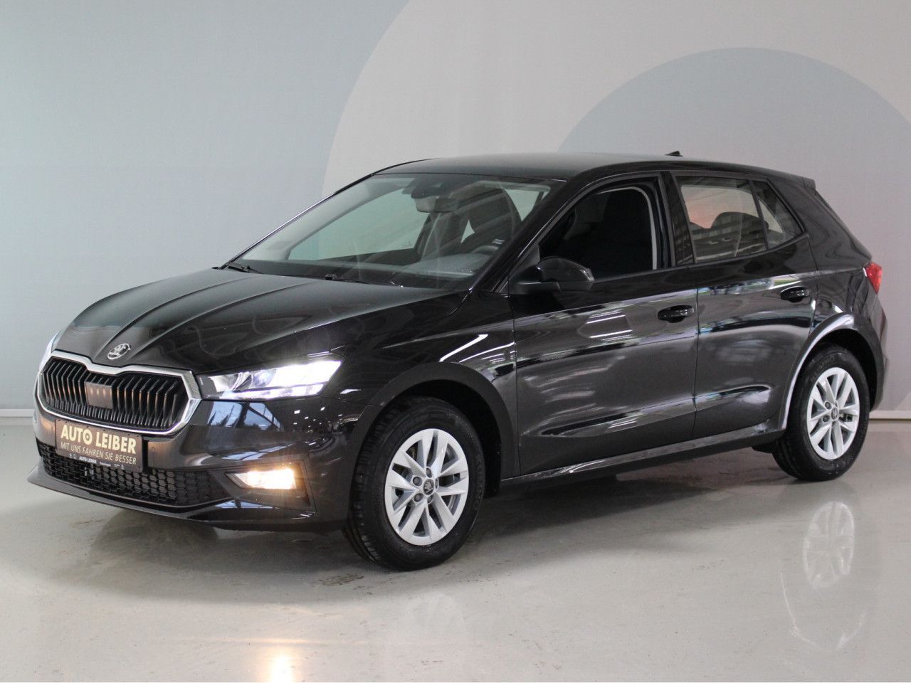 Fahrzeugabbildung SKODA Fabia 1.0 TSI DSG Selection RFK/APP/elekt