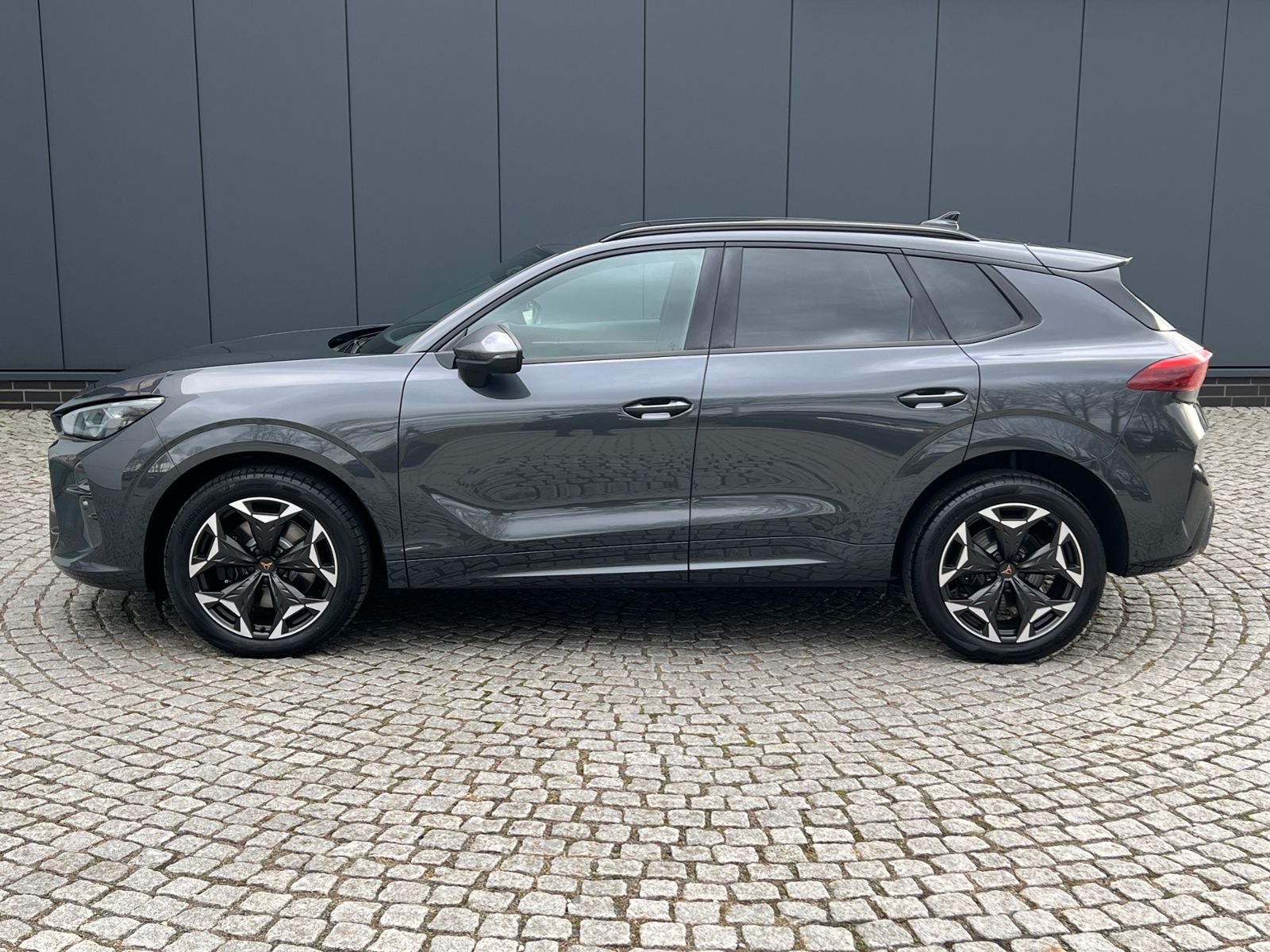 Fahrzeugabbildung CUPRA Terramar VZ 2.0 TSI DSG 4Drive *Garantie, AHK, D