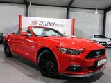 Ford Mustang CABRIO 5.0 Ti-VCT V8 GT CONVERTIBLE TOP - Ford: Rot, Cabrio