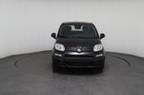 Fiat Panda 1.0 Mild-Hybrid Pandina Icon *PDC*LKA*DAB* - Fiat Panda Neuwagen