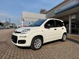 Fiat New Panda 1.2 8V MYSTYLE - weiße Fiat New Panda