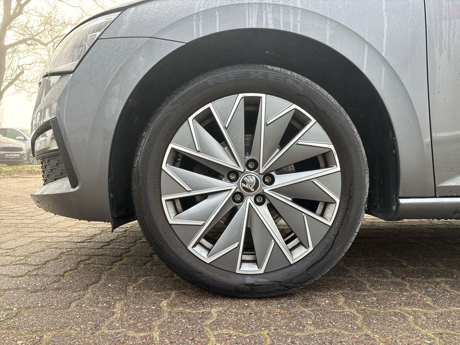 Fahrzeugabbildung SKODA Scala 1.0 TSI  Automatik  Tour