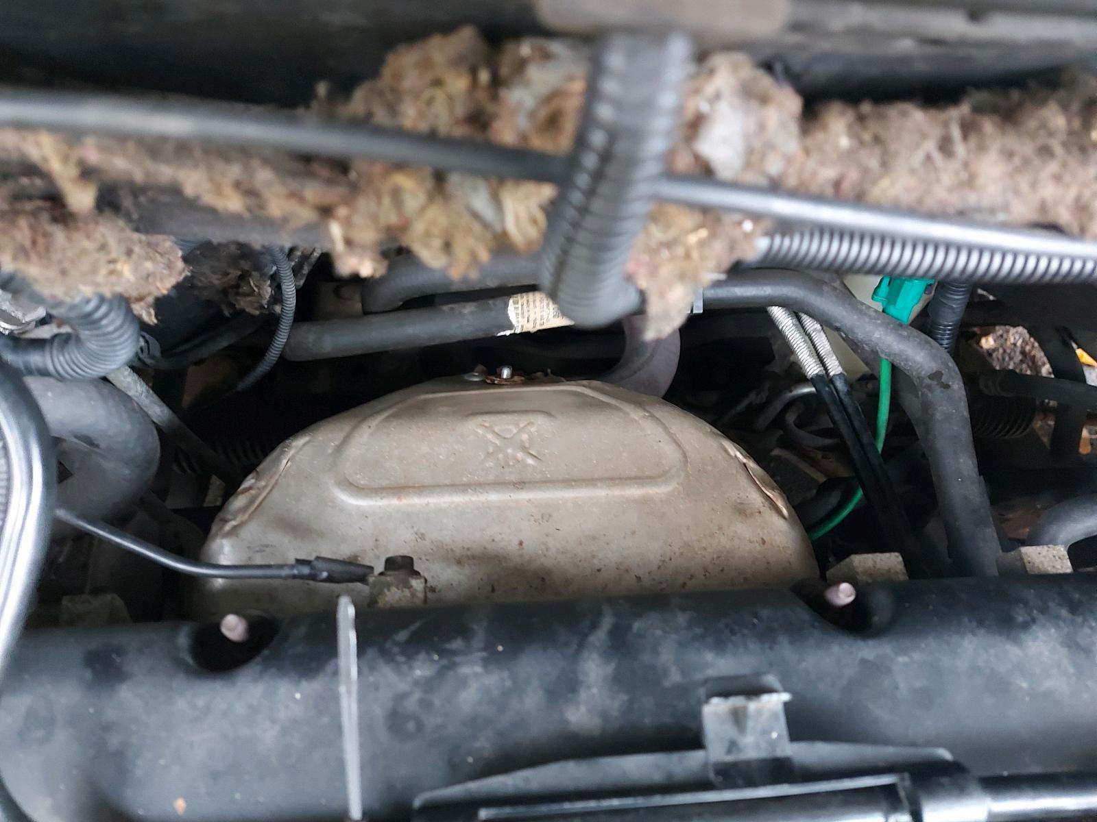 Ford Focus 2004 — photo 8