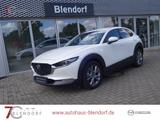 Mazda CX-30 Selection 122 Design|Active|Navi|Bose - Mazda CX-30 in Essen