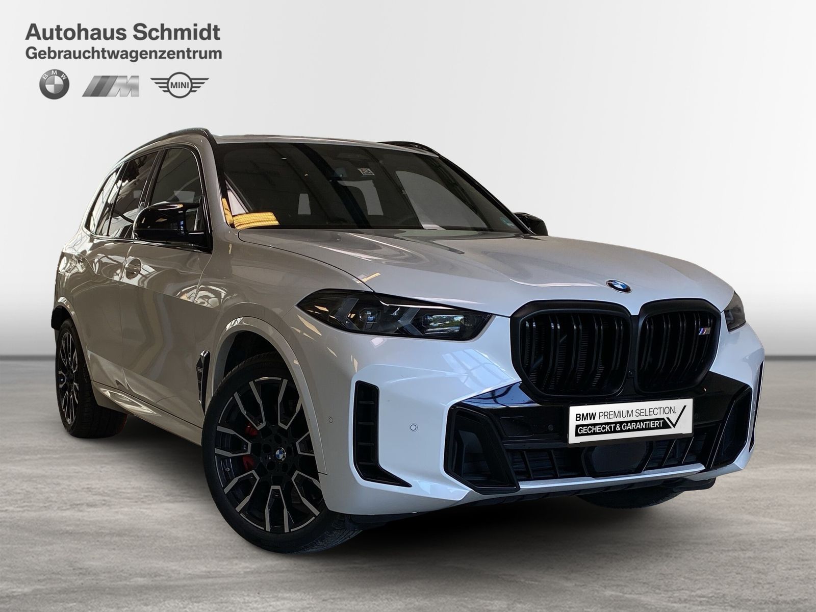 BMW X5 M60 - Bild 6
