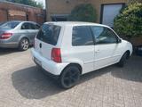 Volkswagen Lupo 1.0 BASIS Basis - weiße Volkswagen Lupo