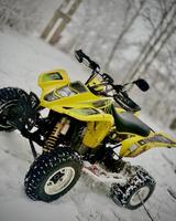 Suzuki LTZ 400 - Angebote entsprechen deinen Suchkriterien