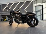 Harley-Davidson XL 1200 CX-Sportster/Nightster - HARLEY-DAVIDSON XL 1200 N