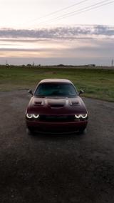 Dodge Challenger - Dodge Challenger aus 2021