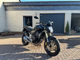 Honda Hornet PC41 600ccm - Offers matching your search criteria