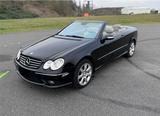 Mercedes-Benz MERCEDES CLK 500 CABRIO AMG BOSE XENON GEP... - Mercedes-Benz CLK 500 aus 2004: Cabrio