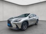 Lexus NX 450h Executive Line Alle Extras MY26 - silberne Lexus NX-Serie