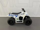 SMC Buzzy 50 - Quads bis 2.000 Euro
