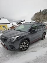 Subaru Forester 2.0 Hybrid EDIT. EXCLUSIVE CROSS AWD - gebrauchte Subaru Forester aus dem Jahr 2023
