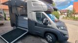 Peugeot Pferdetransporter MSG Stablehopper 3500 kg 3,5 t - Tier-/Pferdetransport 3 pferde