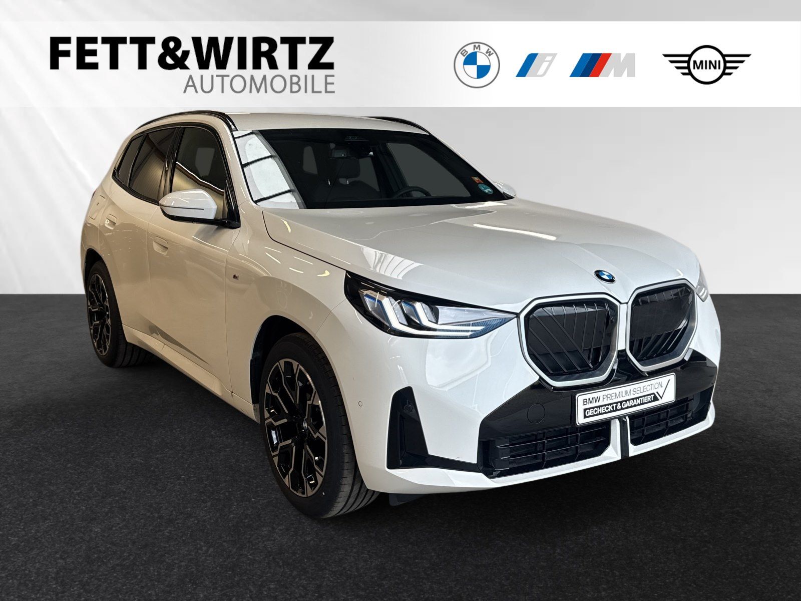 BMW X3 20 xDrive Lr. 488,- br. o.Anz. 42Mon/10`Km p.