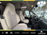 Autohaus Thorwesten Gebrauchtwagen