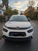 Citroën C4 Cactus PureTech 110 S&S Shine Shine - Citroën C4 Cactus von privat