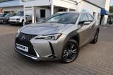 Lexus UX 250h Executive Line|NAVIGATION|LEDER|R-CAM| - Lexus UX: Executive Line