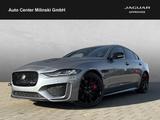 Jaguar XE P250 R-Dynamic SE  *Winter-Paket*Black Pack*T - Jaguar Neuwagen