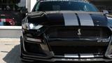 Ford Mustang 2.3  Shelby gt  F.Performance GARANTIE ! - Ford Mustang: Shelby