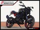 BMW G 310 R *UNIKAT* - NAKED BIKE VON 251 BIS 500 CCM