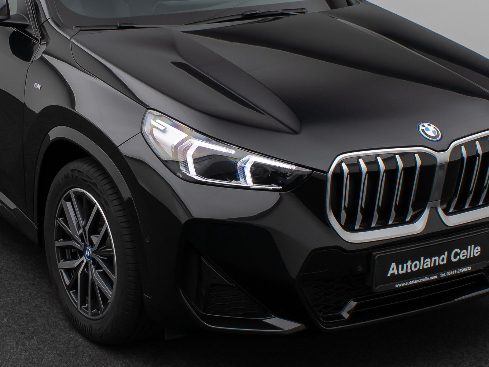 Fahrzeugabbildung BMW X1 xD25e M Sport Panorama Kamera H/K DAB Komfort