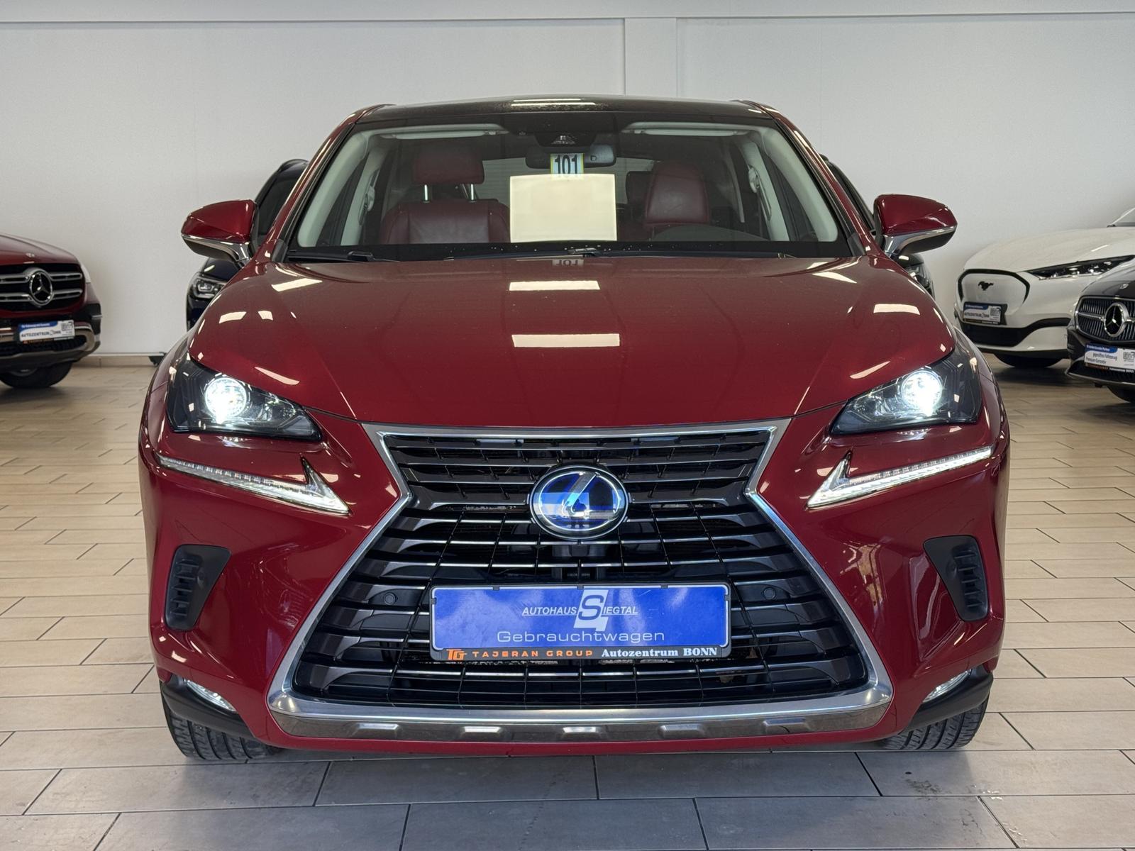 Lexus NX 300 Sport-line*Leder*Pano*R-Cam*Navi*SHZ*LED*