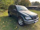 Mercedes-Benz ML 320 - - Mercedes-Benz ML 320 mit Benzin-Antrieb