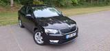 Skoda Octavia 1.6 TDI Green tec Ambition Ambition