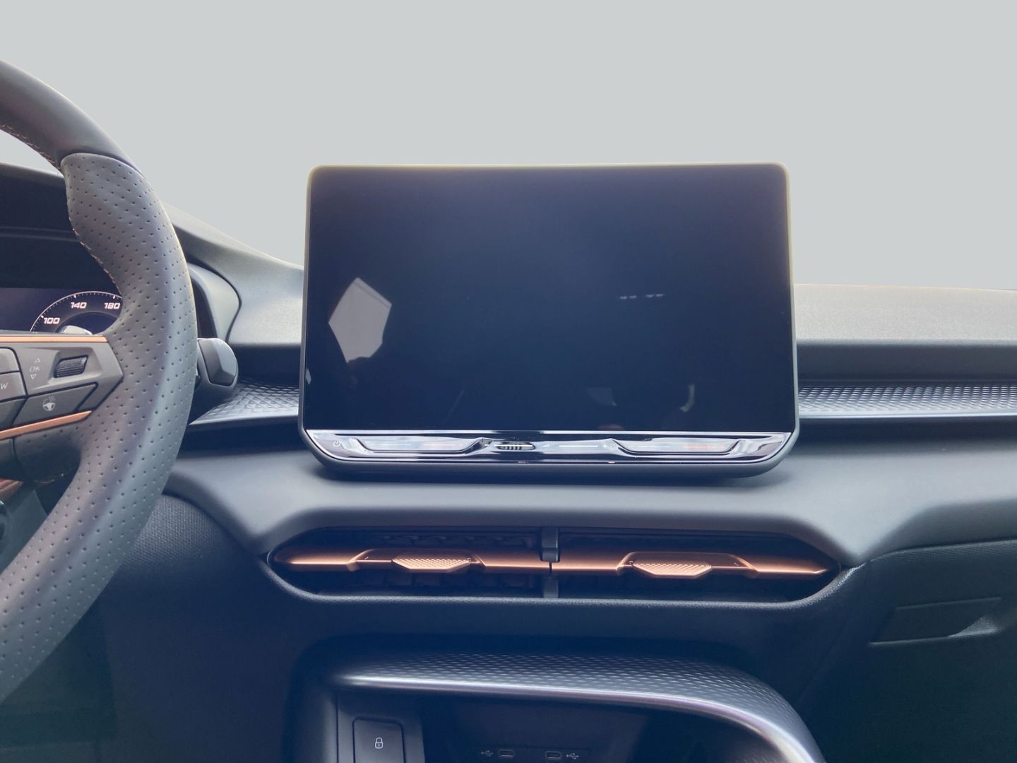 Cupra Terramar - Bild 8