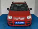 Fiat Panda 1.2 8V Dynamic/Nur 45.477 km/KLIMA - Fiat Panda mit Benzin-Antrieb: Limousine