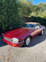 Jaguar XJS Celebration 1996 - Jaguar XJSC Gebrauchtwagen