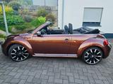 Volkswagen Beetle 1.4 TSI BMT ALLSTAR Cabriolet ALLSTAR - VW Beetle von privat