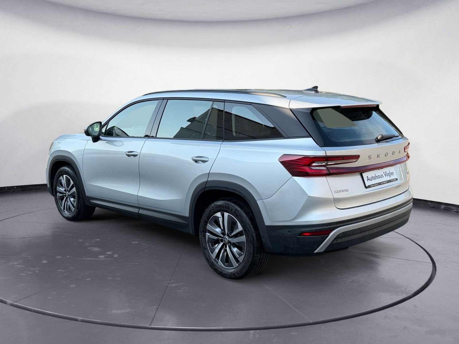 Kodiaq 2,0 TDI 4x4 Leder AHK Canton Matrix ACC