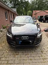 Audi SQ5 3.0 TDI comp. tiptr. quattro - - Audi SQ5 in Oldenburg