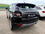 Land Rover Range Rover Evoque Pure - Land Rover Range Rover Evoque Pure mit Diesel-Antrieb