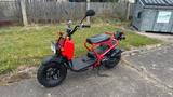 Honda Zoomer 50  NPS 50 - HONDA ZOOMER