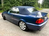 BMW 320Ci Facelift Checkheft Rostfrei Originallack - BMW 320: 320ci