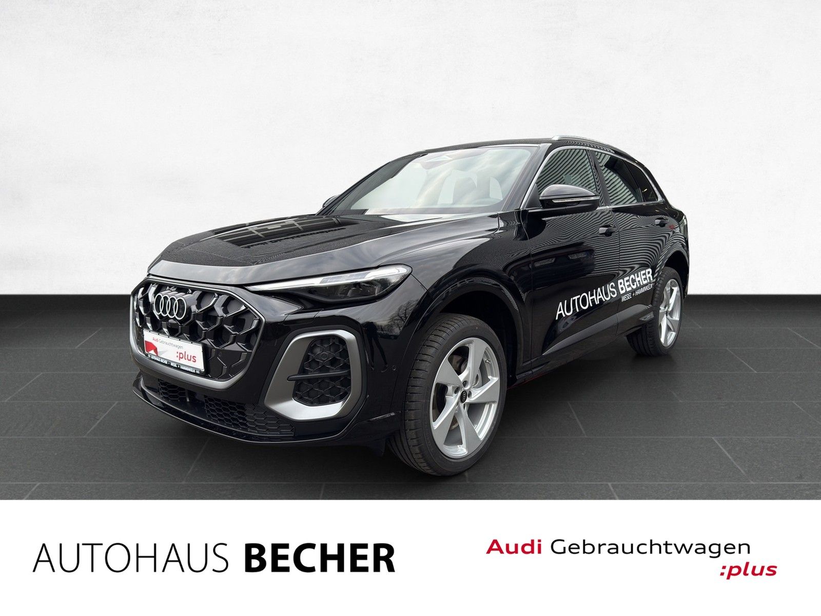 Audi Q5 TDI quattro 150 kW S tronic /Matrix/Navi/HuD
