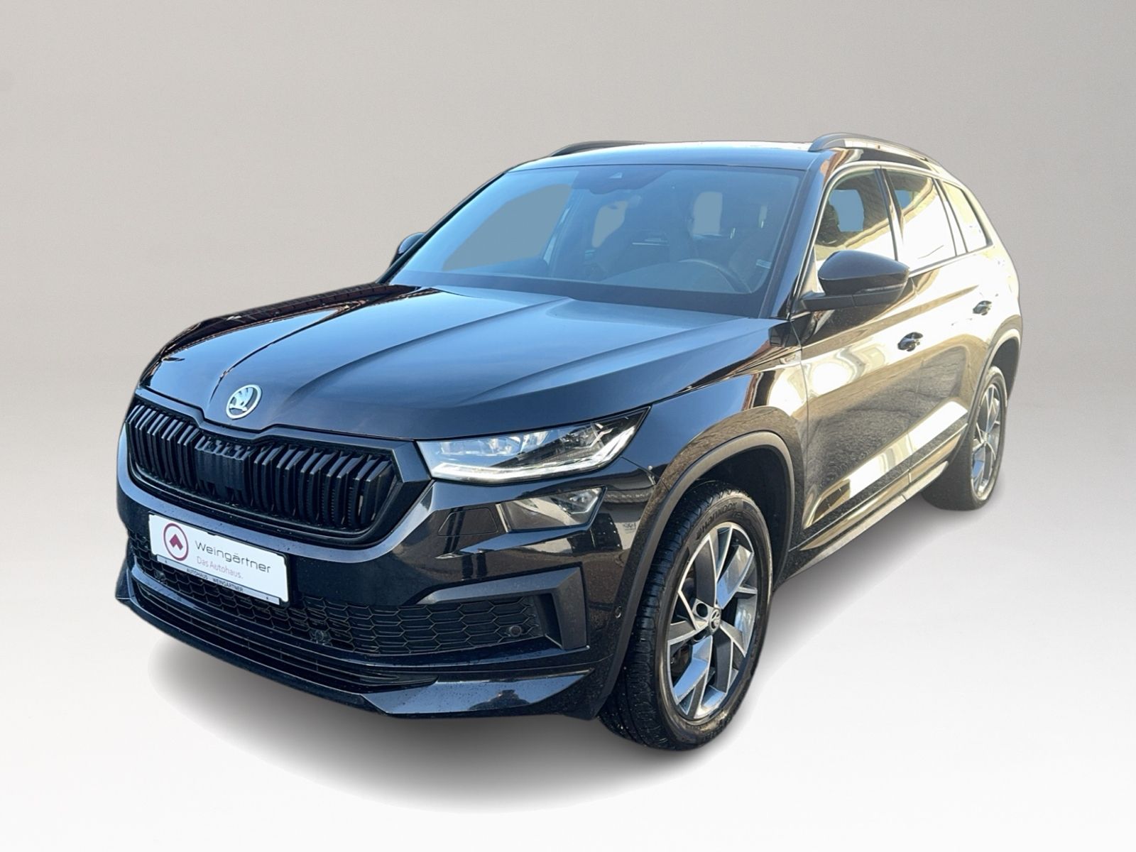 Kodiaq 2.0 TDI Sportline 4x4, AHK, Business Amun