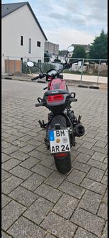 Benelli Leoncino 500 - Angebote