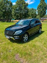 Mercedes-Benz Mercedes ML 250 - Mercedes-Benz ML 250 aus 2015