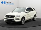 Mercedes-Benz ML 250 CDI BlueTec*Xenon*Distronic Plus*Kamera*