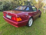 Mercedes-Benz SL 280 (R129) | H-Kennzeichen | Vollrestauriert - Mercedes-Benz SL 280: Cabrio