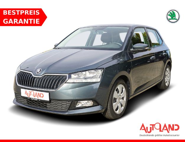 Skoda Fabia 1.0 TSI Active Sitzheizung PDC Bluetooth