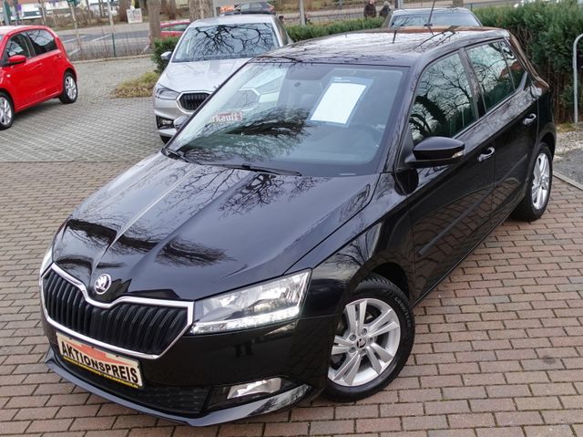 Skoda Fabia 95 PS TSI Sitzheiz DAB PDC Kamera Alus