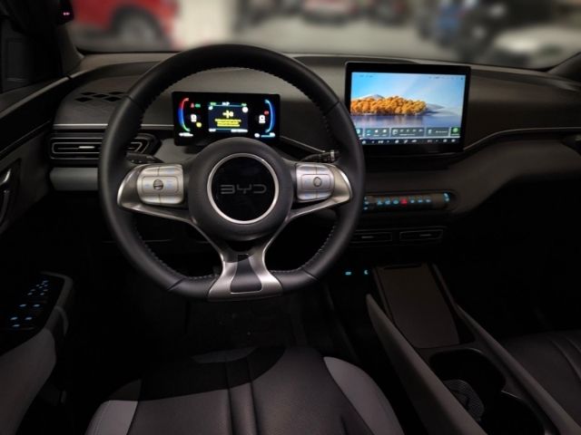BYD DOLPHIN SURF