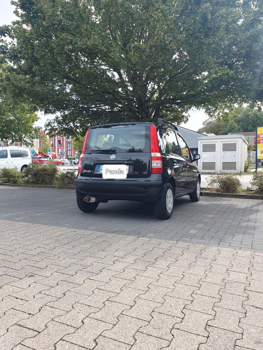 Fiat Panda 2007 — engine 1.242 cm³, 60 HP (44kW)